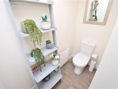 Picture 10
